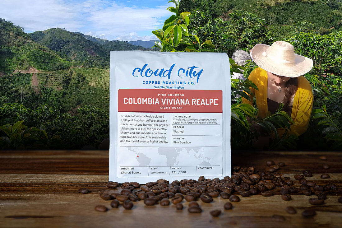 Colombia Viviana Realpe Pink Bourbon