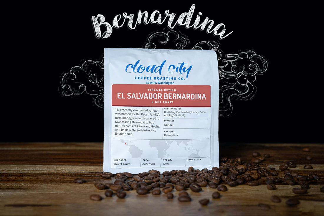 El Salvador Bernardina
