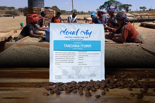 Tanzania Itumpi Peaberry