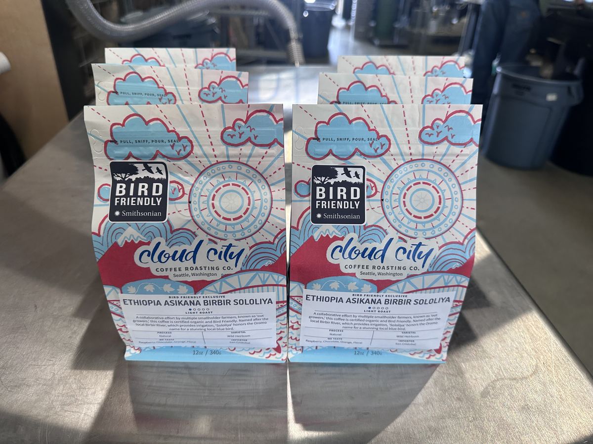 Two bags of Cloud City Coffee Ethiopia Asikana Birbir Sololiya, a Smithsonian Bird Friendly certified light roast, on a stainless counter