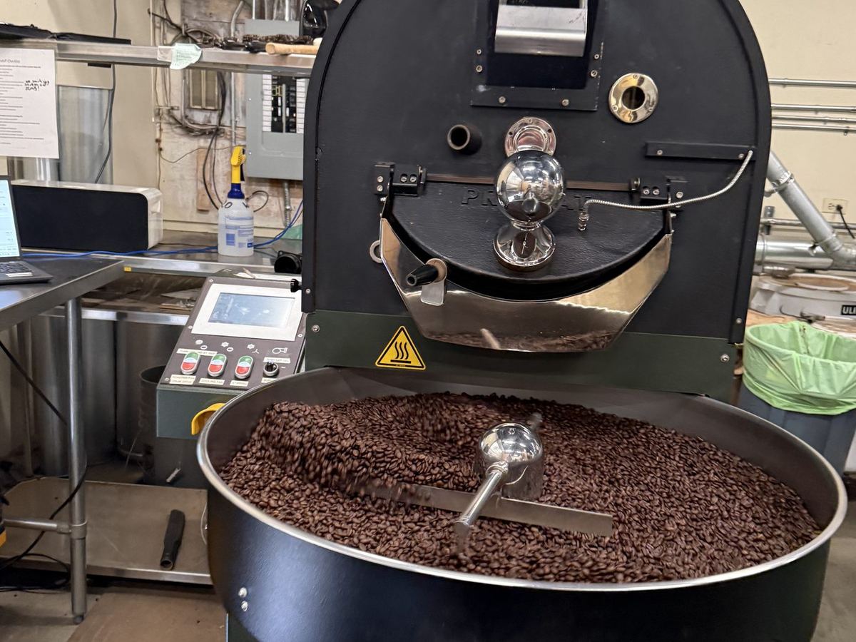 A Probat drum roaster with its cooling tray full of freshly roasted coffee at the Georgetown roastery